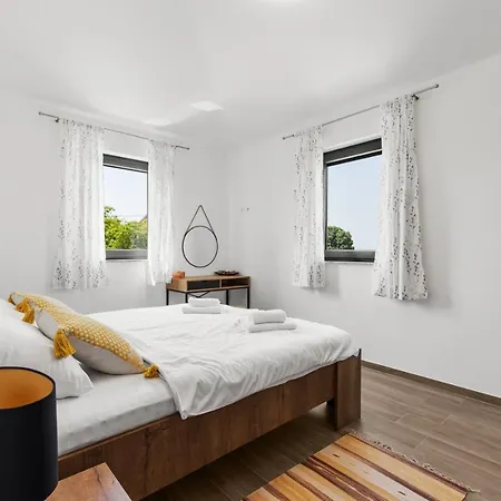 Grivicic B * פורץ